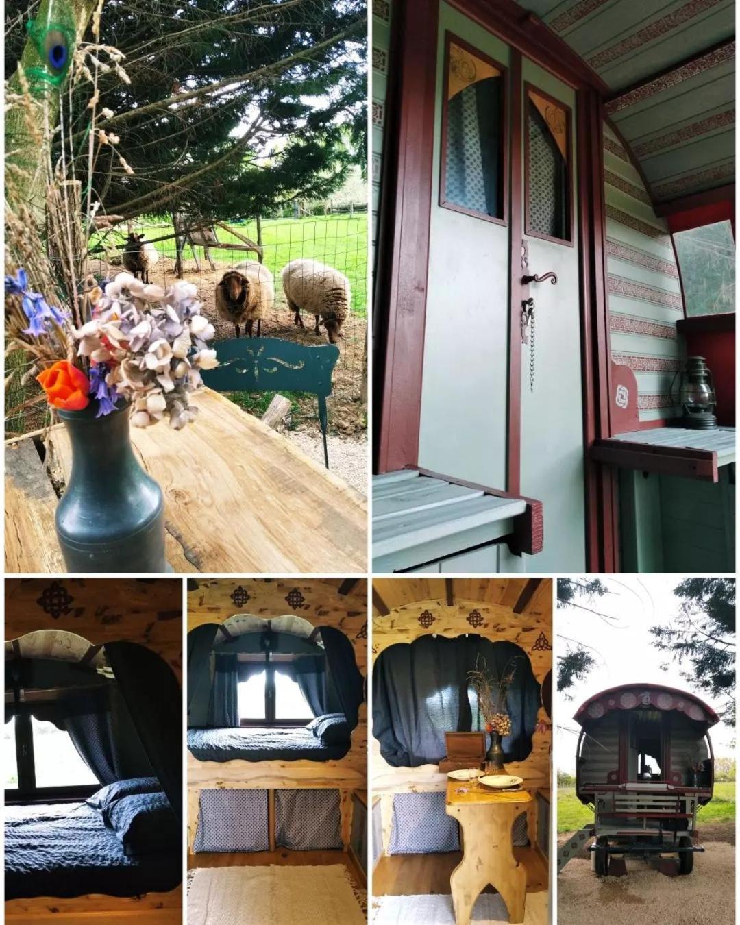 Roulotte Irlandaise Polly Hotel Saint-Vincent-en-Bresse Ngoại thất bức ảnh